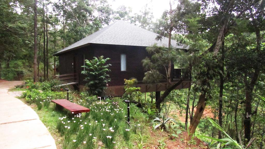 The Ibnii - Eco Luxury Resort Madikeri Eksteriør billede