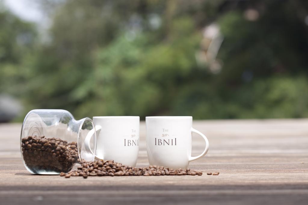 The Ibnii - Eco Luxury Resort Madikeri Eksteriør billede