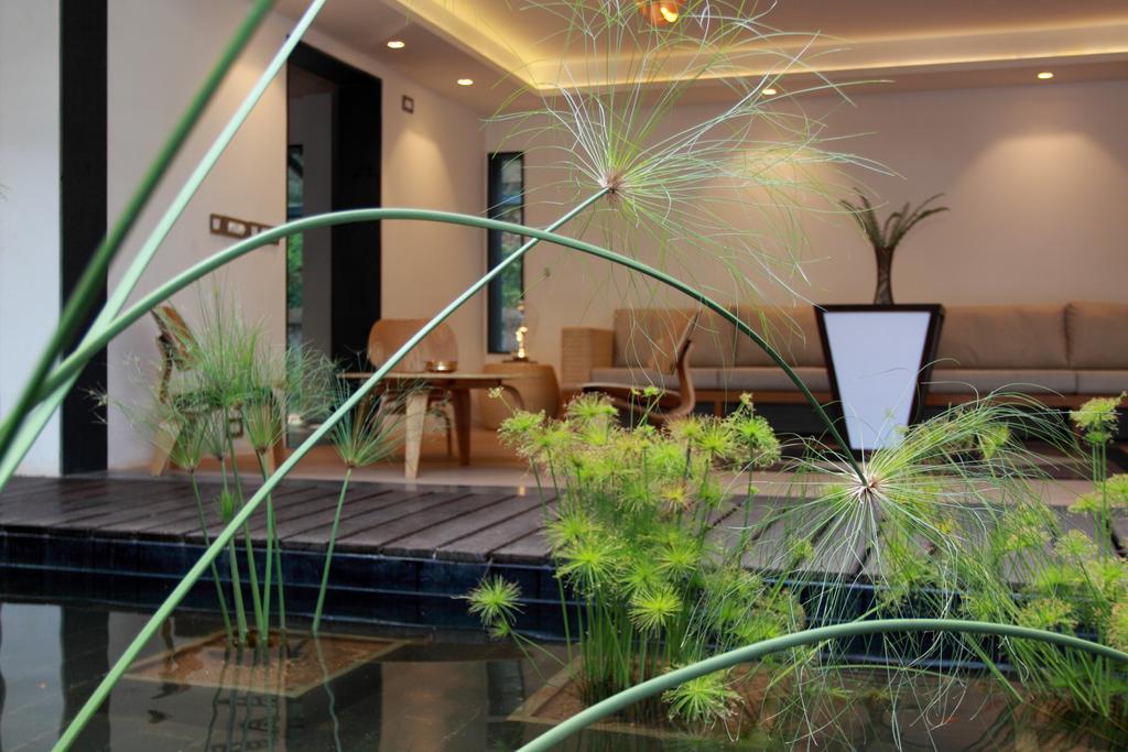 The Ibnii - Eco Luxury Resort Madikeri Eksteriør billede