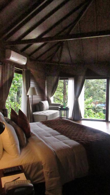 The Ibnii - Eco Luxury Resort Madikeri Eksteriør billede
