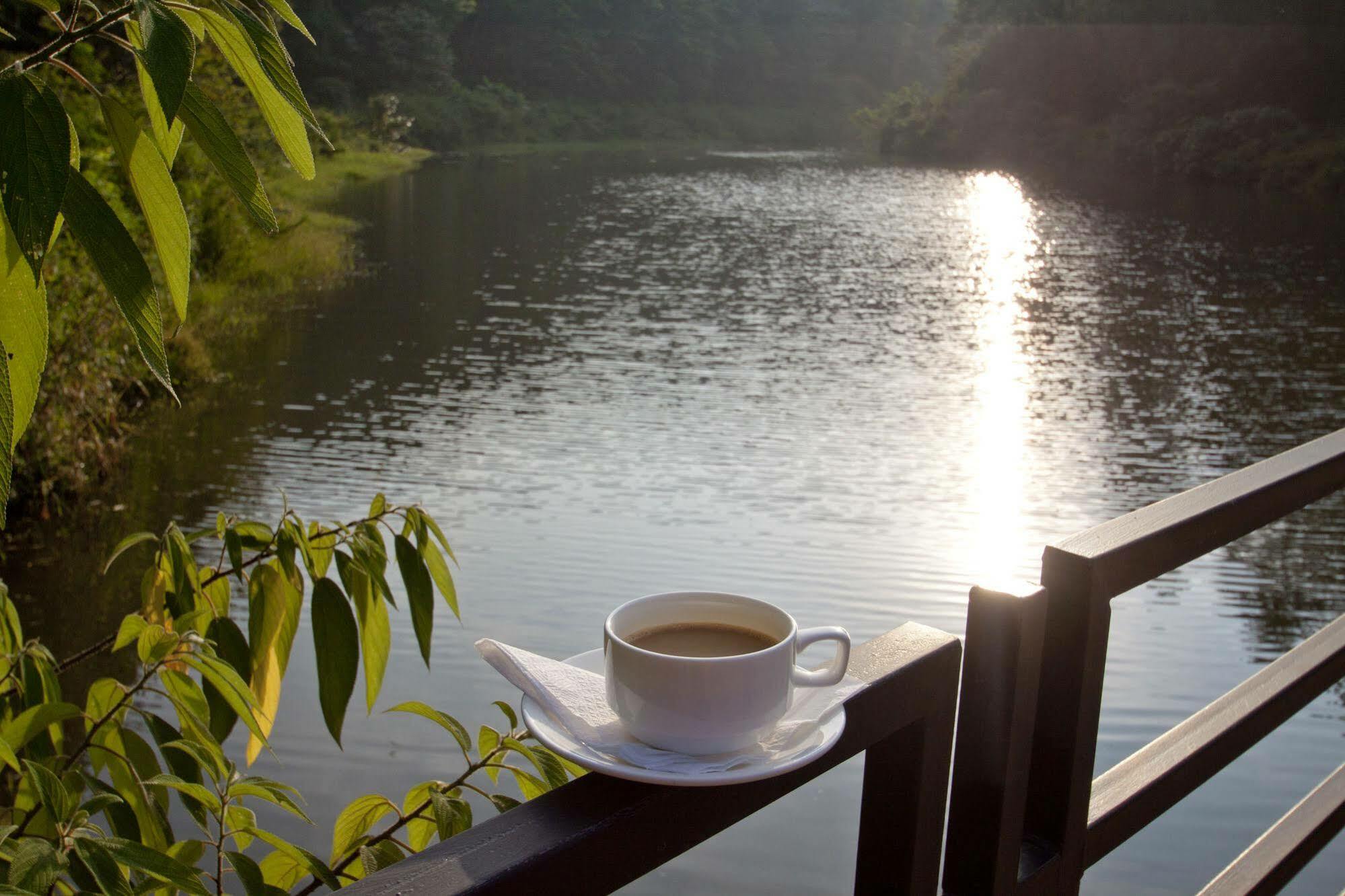 The Ibnii - Eco Luxury Resort Madikeri Eksteriør billede