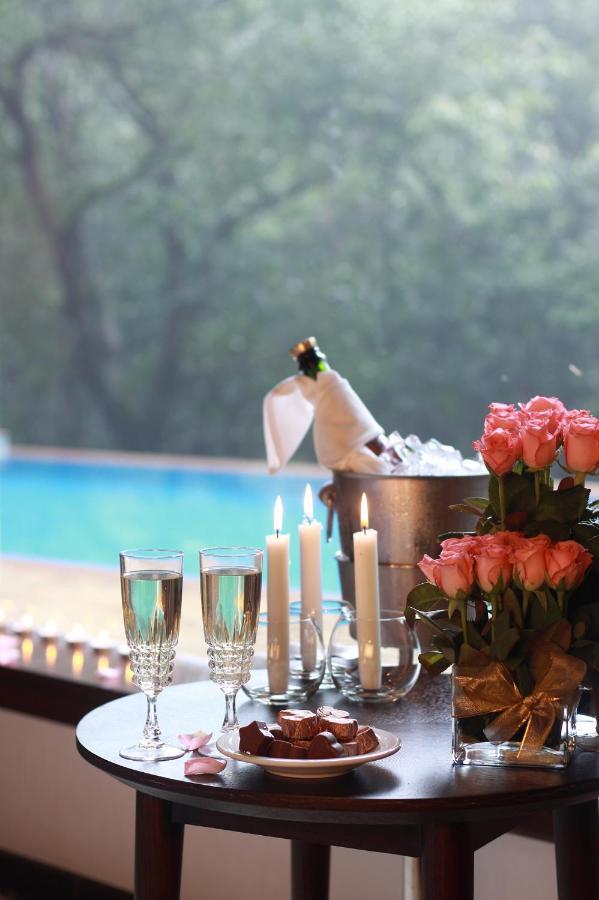 The Ibnii - Eco Luxury Resort Madikeri Eksteriør billede